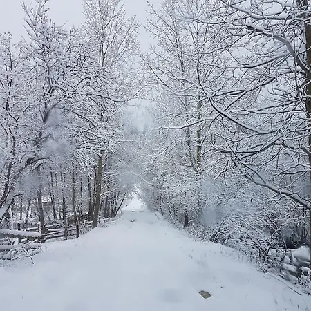 La Bilbor
